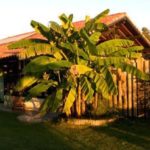 03-Surf-lodge-01-l-airial-02