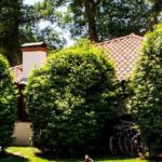 03-Surf-lodge-01-l-airial-05