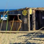 02-Surf-school-02-la-cabane-02