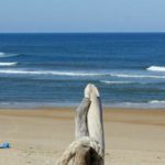 02-Surf-school-03-plage-des-casernes-03